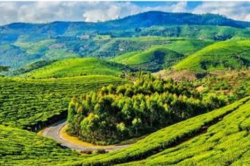 Ecstatic 5 Days 4 Nights ooty Vacation Package