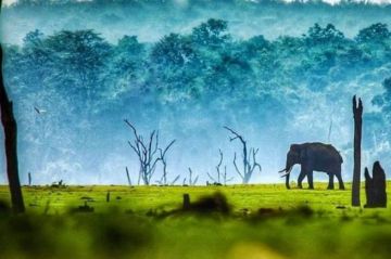 Family Getaway 5 Days coorg with ooty Trip Package