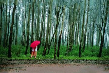 3 Days 2 Nights Pipariya Tour Package