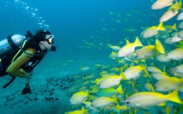 5 Days 4 Nights Seychelles Tour Package