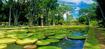 7 Days 6 Nights Maurtius Tour Package by Fly2travel opc pvt ltd