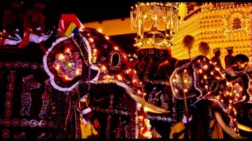 6 Days 5 Nights Colombo Tour Package