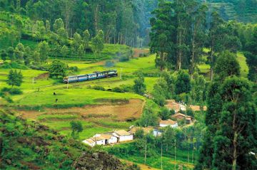 7 Days 6 Nights Bangalore to ooty Tour Package
