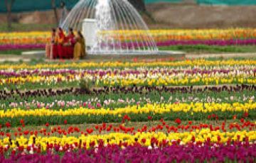 Beautiful 4 Days srinagar to pahalgam Trip Package