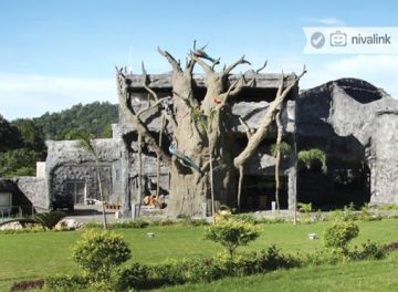 Best 3 Days corbett Nature Vacation Package