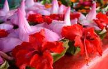 8 Days 7 Nights Delhi to haridwar Tour Package