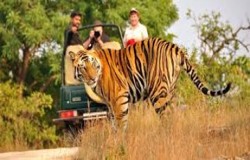 6 Days 5 Nights mussoorie, jim corbett, nainital and delhi Nature Holiday Package