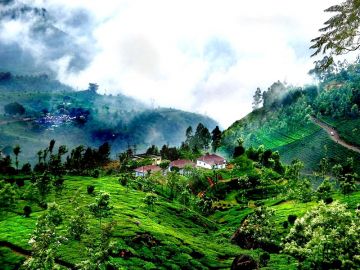 Amazing 3 Days 2 Nights coorg Nature Holiday Package