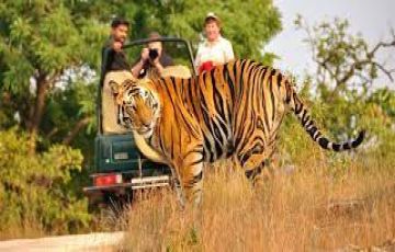 Best 4 Days 3 Nights corbett Tour Package