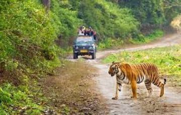 Best 4 Days 3 Nights corbett Tour Package