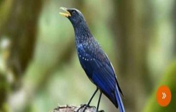 Experience 3 Days Ramnagar to kathgodam Tour Package