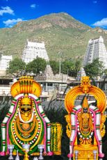 Family Getaway 4 Days tirupati Nature Holiday Package