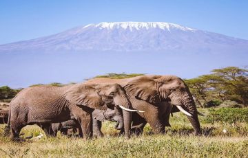 9 Days 8 Nights kilimanjaro Luxury Vacation Package