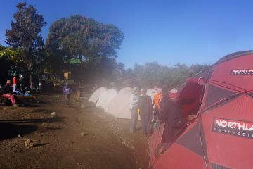 Best 11 Days kilimanjaro airport to londorosi gate Tour Package