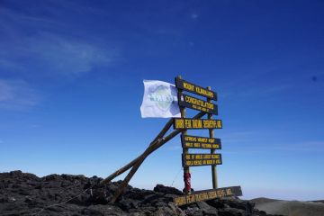 Best 11 Days kilimanjaro airport to londorosi gate Tour Package