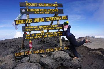 Best 11 Days kilimanjaro airport to londorosi gate Tour Package