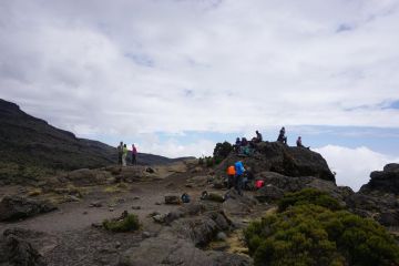 11 Days 10 Nights kilimanjaro airport to mti mkubwa Trip Package