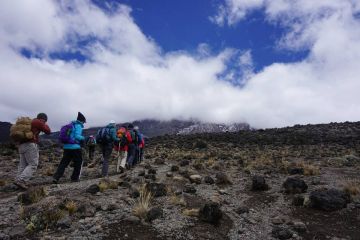 11 Days 10 Nights kilimanjaro airport to mti mkubwa Trip Package