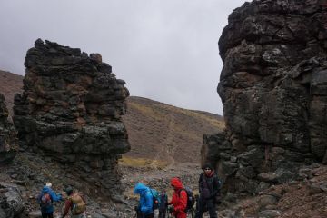 11 Days 10 Nights kilimanjaro airport to mti mkubwa Trip Package