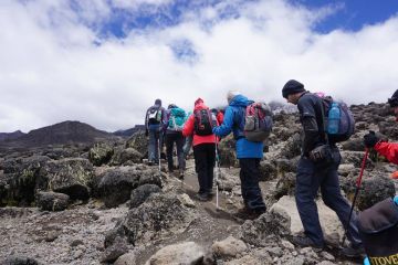 11 Days 10 Nights kilimanjaro airport to mti mkubwa Trip Package