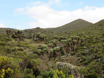 Magical 9 Days Kilimanjaro airport to kilimanjaro Vacation Package