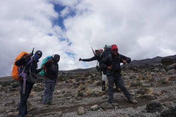 7 Days 6 Nights kilimanjaro airport, marangu gate, mandara hut with horombo hut Nature Vacation Package