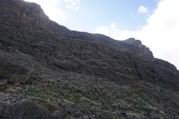 7 Days 6 Nights kilimanjaro airport, marangu gate, mandara hut with horombo hut Nature Vacation Package