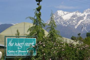 Best 3 Days palampur Family Tour Package