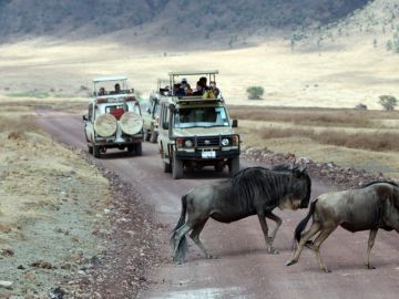 Pleasurable 7 Days 6 Nights arusha Holiday Package