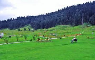 Amazing 7 Days 6 Nights sonmarg Trip Package
