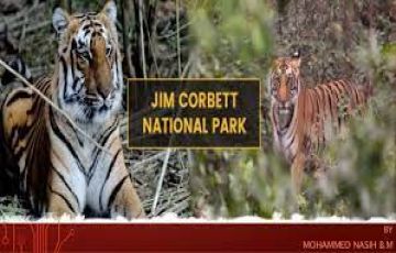 Magical 4 Days nainital with corbett Trip Package