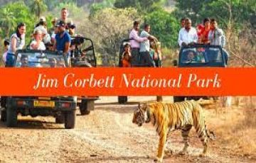 Memorable 3 Days jim corbett Holiday Package