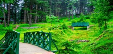 Ecstatic 4 Days 3 Nights jammu, katra and patnitop Wildlife Trip Package