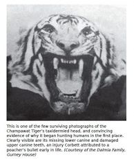 Amazing 5 Days delhi to corbett Vacation Package