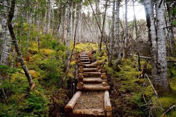 Memorable 4 Days 3 Nights mussoorie Tour Package