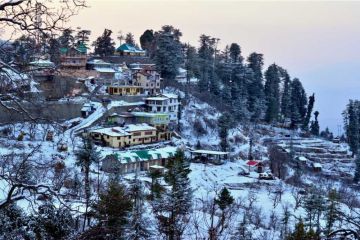 Experience 4 Days 3 Nights shimla Wildlife Holiday Package