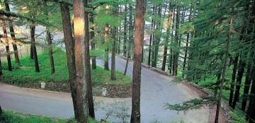 Experience 4 Days 3 Nights shimla Wildlife Holiday Package
