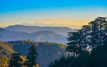 Experience 4 Days 3 Nights shimla Wildlife Holiday Package