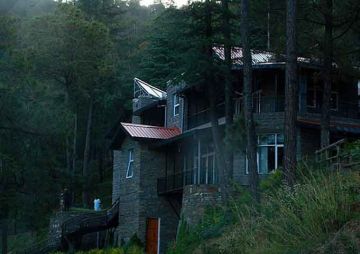 Experience 4 Days 3 Nights shimla Wildlife Holiday Package