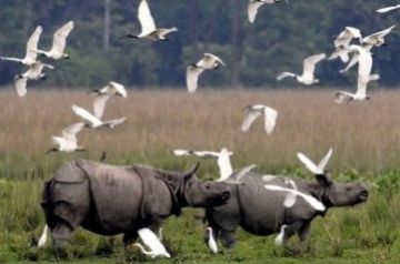 Ecstatic shillong Tour Package for 5 Days 4 Nights