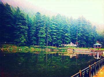 Best 6 Days 5 Nights dalhousie Family Trip Package