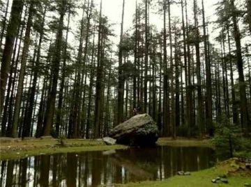 4 Days 3 Nights delhi and manali Culture and Heritage Holiday Package