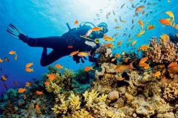 Family Getaway 5 Days 4 Nights port blair and havelock island Holiday Package