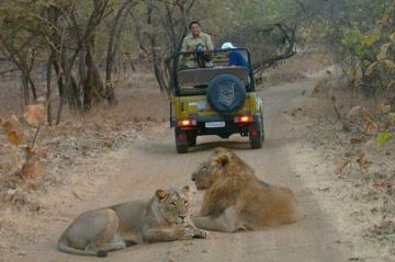 Beautiful 4 Days 3 Nights pench, kanha national park with jabalpur Trip Package