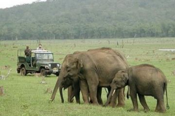 Family Getaway nagarhole Tour Package for 4 Days 3 Nights