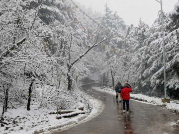 Heart-warming 7 Days 6 Nights delhi to shimla, shimla kufri sightseeing, shimla to manali and manali local sightseeing Trip Package