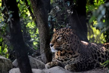 Best 3 Days 2 Nights delhi Wildlife Vacation Package