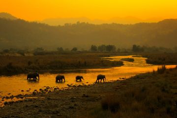 Best 3 Days 2 Nights delhi Wildlife Vacation Package