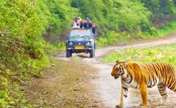 Best 3 Days 2 Nights delhi Wildlife Vacation Package