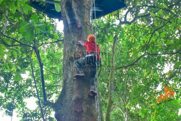 2 Days 1 Night jinja Weekend Getaways Vacation Package